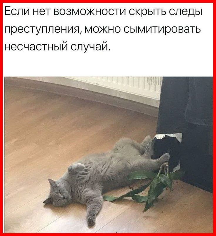 Если нет возможности скрыть следы преступления можно сымитировать несчастный случай