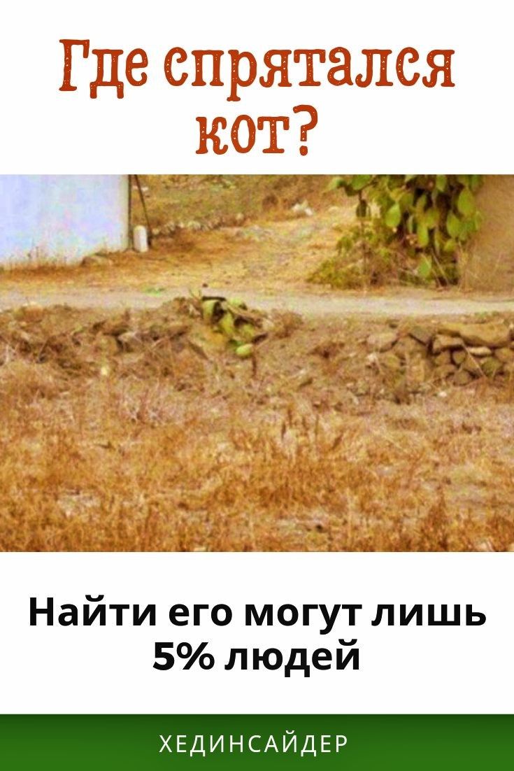 Найти его могут лишь 5 людей ХЕДИНСАЙДЕР