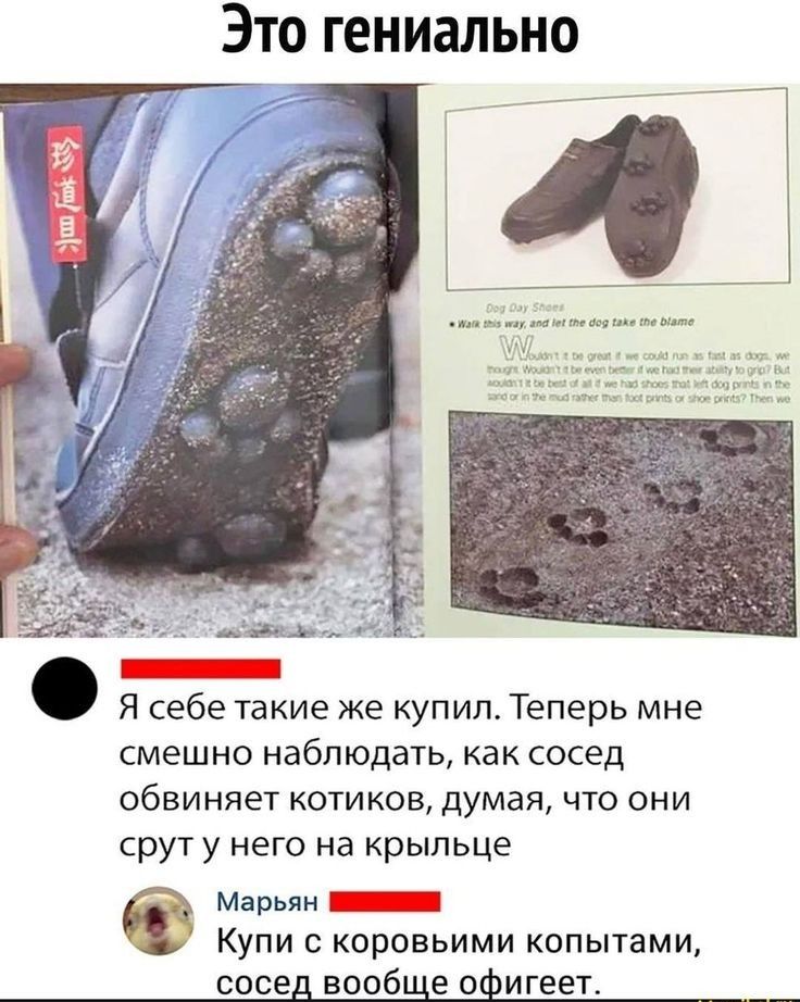 Это гениально ш г _ за 1 Жди _ Я себе такие же купил Теперь мне смешно наблюдать как сосед обвиняет котиков думая что они срут у него на крыльце Марьян _ Купи с коровьими копытами сосе вооб е о игеет
