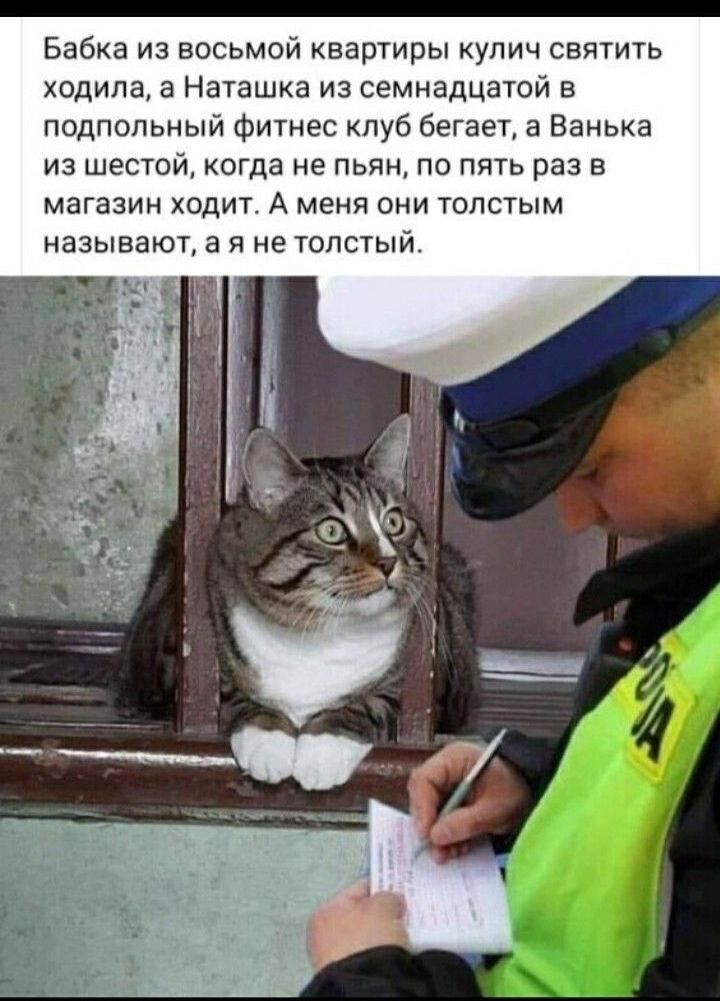 Бабка из восьмой квартиры кулич святить ходила а Наташка из семнадцатой в подпольный фитнес клуб бегает а Ванька из шестой когда не пьян по пять раз в магазин ходит А меня они толстым называют а я не толстый