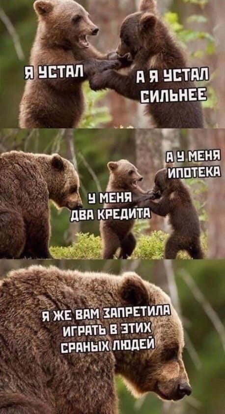 ПМЖ п и шпиц Ё