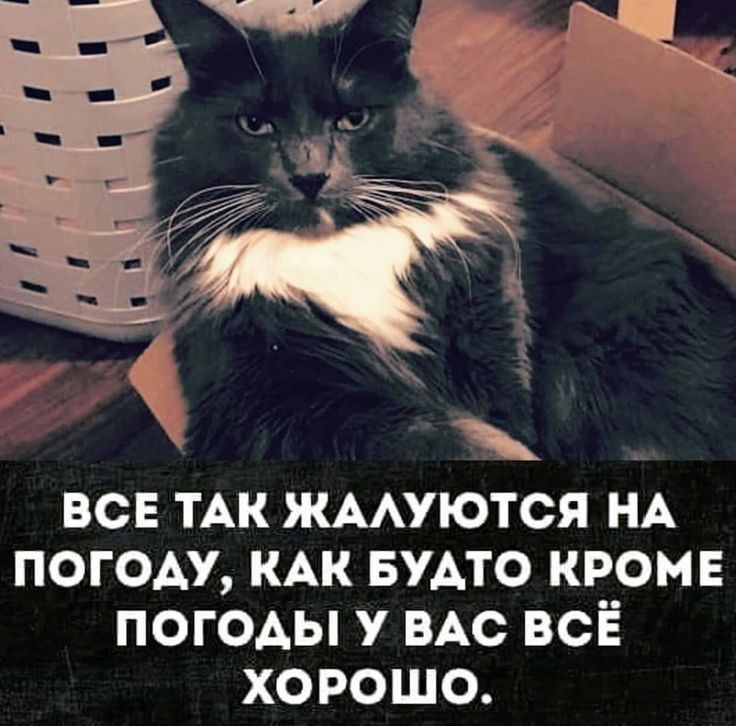 ВСЕ ТАК ЖААУЮТСЯ НА ПОГОАУ КАК БУАТО КРОМЕ погоды у ВАС всё хорошо