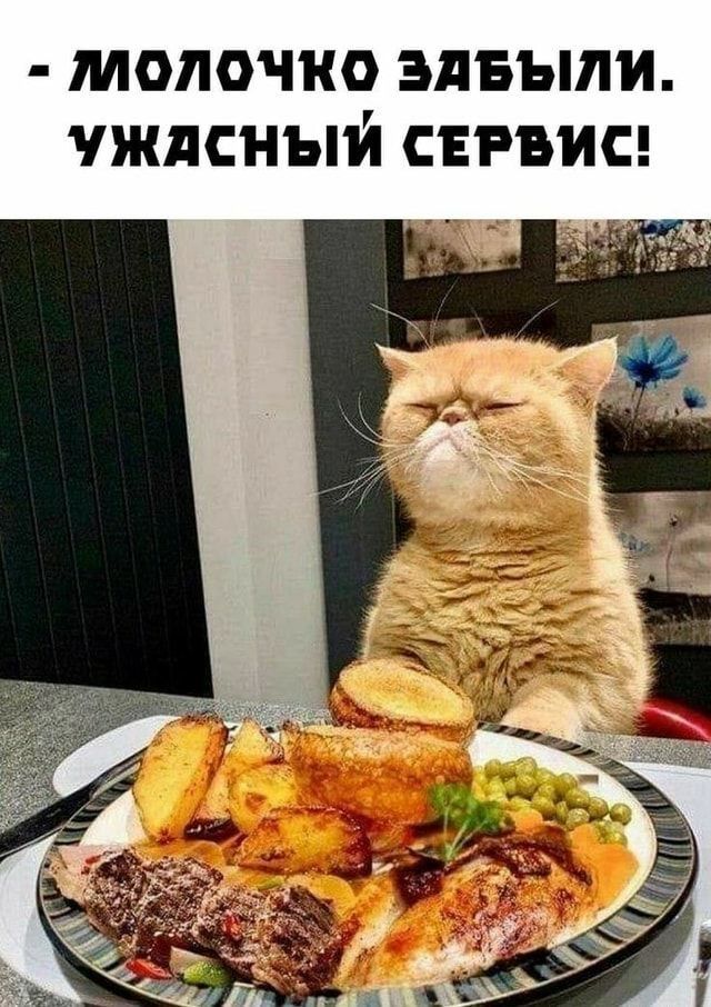 МОЛОЧКО ЗАБЫЛИ ЖЛСНЫЙ СЕРВИС