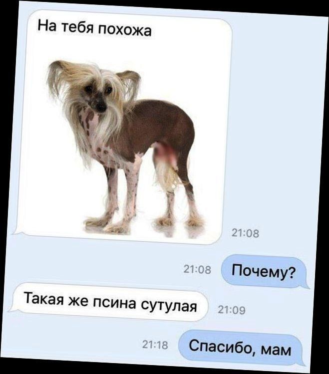 На тебя похожв Почему Такая же псина сутудая Спасибо мам