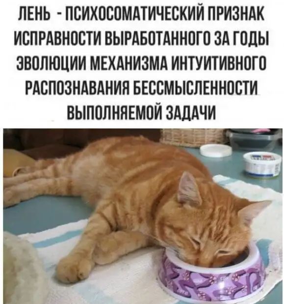 ЛЕНЬ ПСИХОСПМАТИЧЕСКИЙ ПРИЗНАК ИСПРАВНОСТИ ВЫРАБОТАННПГП ЗА ГОЛЫ ЗВПЛЮЦИИ МЕХАНИЗМА ИНТУИТИВНПГО РАСППЗНАВАНИЯ БЕССМЫСЛЕННПВТИ ВЫПОЛНЯЕМПЙ ЗАДАЧИ