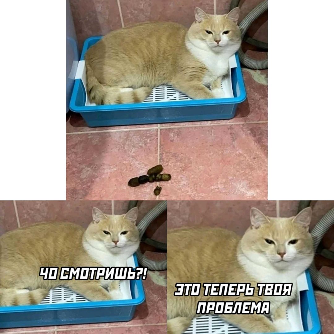Е  ы этолтеперьтвоя  проблема