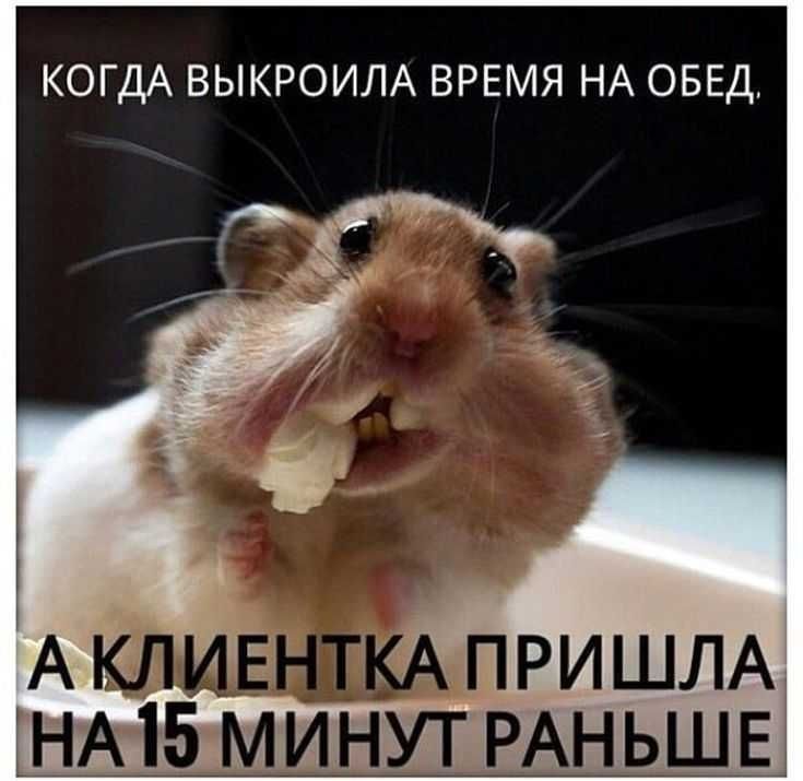 КОГДА ВЫКРОИЛА ВРЕМЯ НА ОБЕД НА15МИНУТ РАН ЬШЕЭ