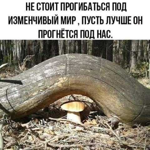 НЕ СТПИТ ПРПГИБАТЬВН ППЦ ИЗМЕНЧИВЫЙ МИР ПУСТЬ ЛУЧШЕ ПН ПРПГНТСН ППЛ НАС