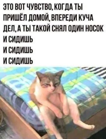 ЗТП ВПТ ЧУВСТВО КВГЩ ТЫ ПРИШЁЛ ЛПМПИВПЕРЕЛИ КУЧА дЕЛА ТЫ ТАКПИ ЕНИП ВЛИН НПБПК И ВИЛИШЬ И СИЦИШЬ И ВИЦИШЬ