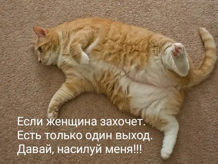 яч