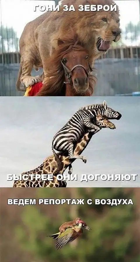 Ведем репортаж с воздуха