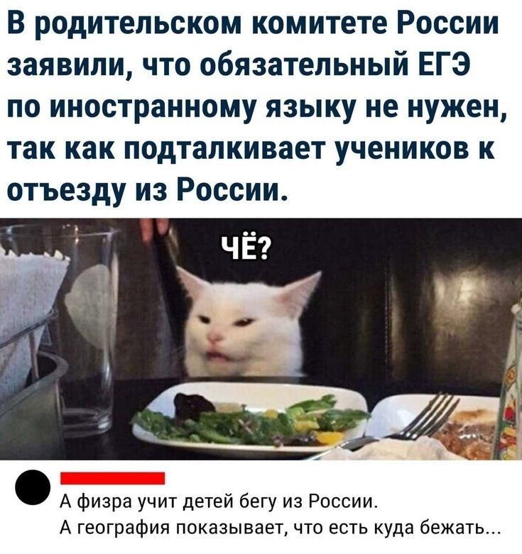 В родительском комитете России заявили что обязательный ЕГЭ по иностранному языку не нужен так как подталкивает учеников к отъезду из России А физра учит детей бегу из России А география показывает что есть куда бежать