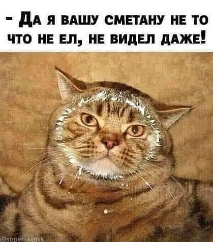 дА я ВАШУ смвтдну и то что не ел не видел мже