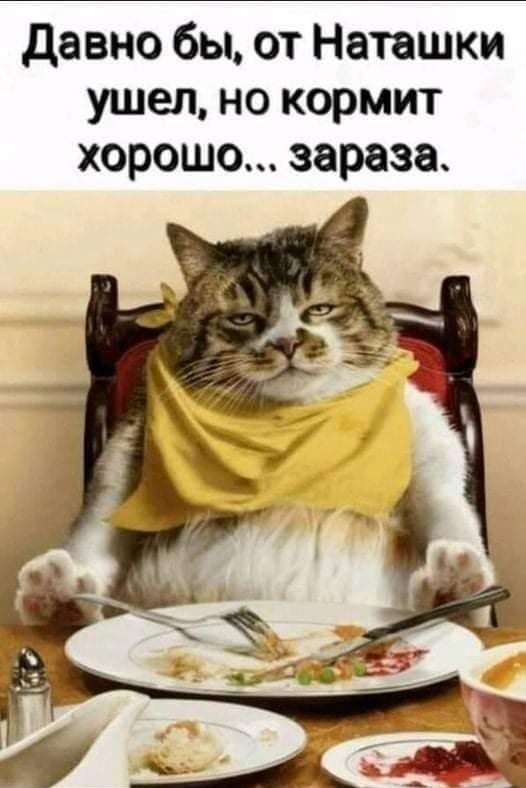 давно бы от Наташки ушел но кормит хорошо зараза