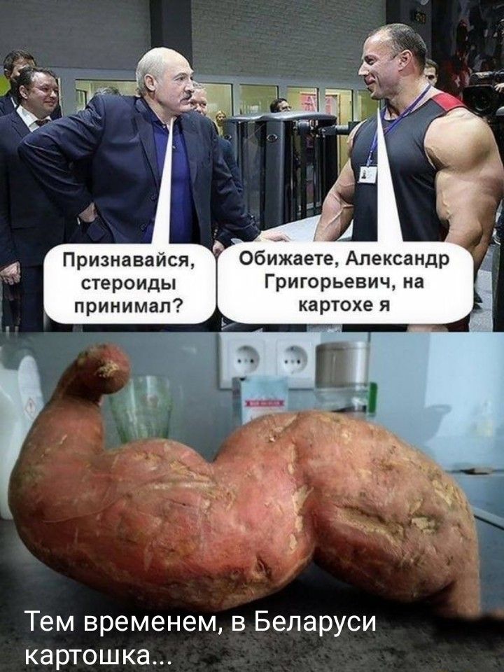 1 Признавайся Обижаете Александр стероиды Григорьевич на принимал картохе я Тем временем в Беларуси картошка
