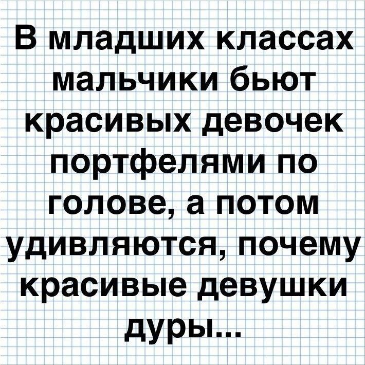 В младших классах мальчики бьют красивых девочек портфелями по гоповеапотом удивляются почему красивые девушки дуры