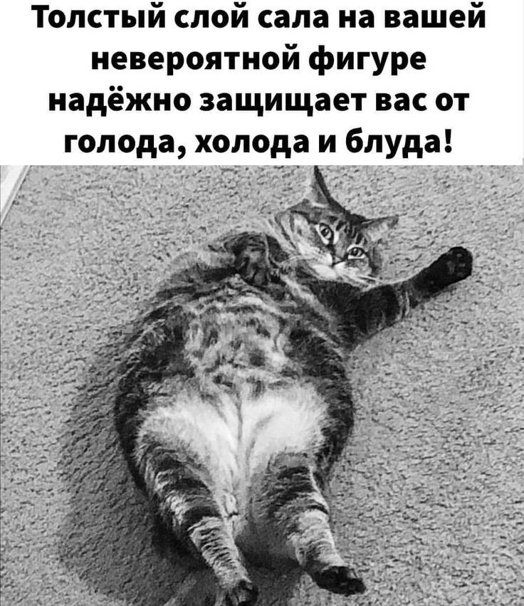 Толстый слой сала на вашей невероятной фигуре надёжно защищает вас от голода холода и блуда