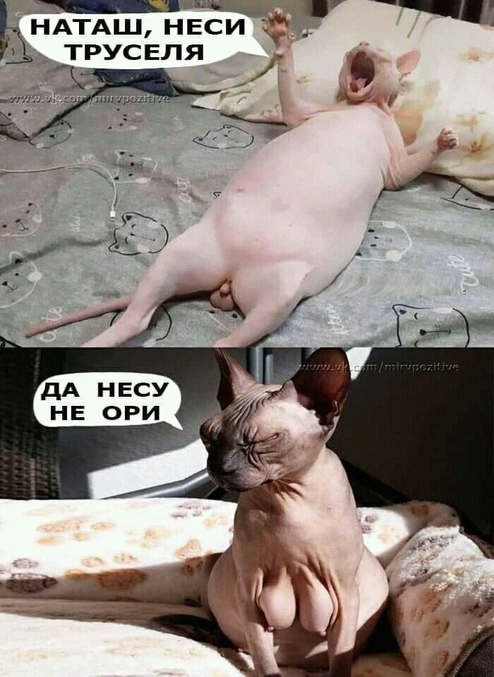 Ооомаеичиичичичинний иниа оцинюы  наташ, неси в, труселя к й т