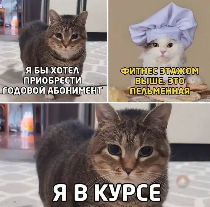 Приобреёти г'оаовои 'абонимент ъ ш я в курсе
