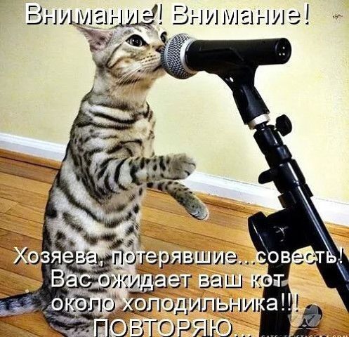 ВыушлаыщЗ Бни маниэ о аріпзшуге