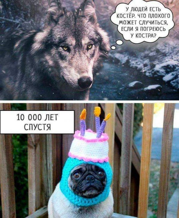 У людей есть костёр. Что плохого ь, может случиться,