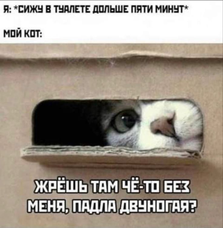 я ижн шлет дальше пяти миньт май кит іг _ Ёд жпЁшь тдм ЧЁ ТП 553 МЕНЯ Пддпд ДВННПГдП