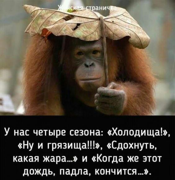 У нас четыре сезона сХолодища Ну и грязища Сдохнуть какая жара и Когда же этот дождь падла кончится