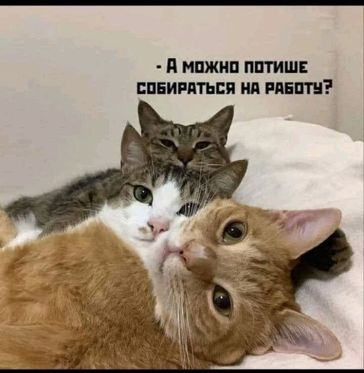 _ д МПЖНП ПШШЕ СПЕИРЪПЪБЯ Нд РПБПТН