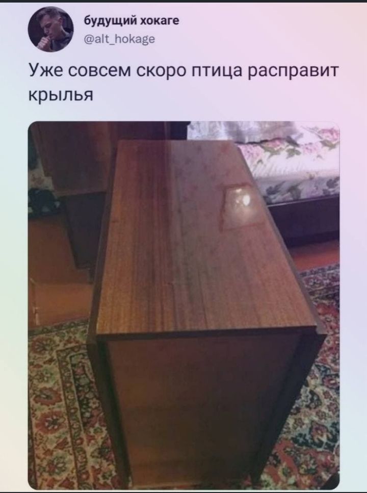 будущий хокаге а_ПоКаёе Уже совсем скоро птица расправит крылья