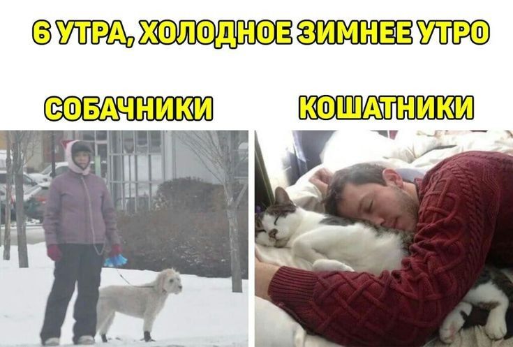 3 СФБАЧНИКМ КФШДТНИКИ хэ _ _
