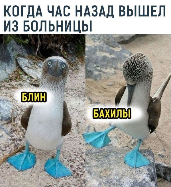 КОГДА ЧАС НАЗАД вышвл из вольницы______