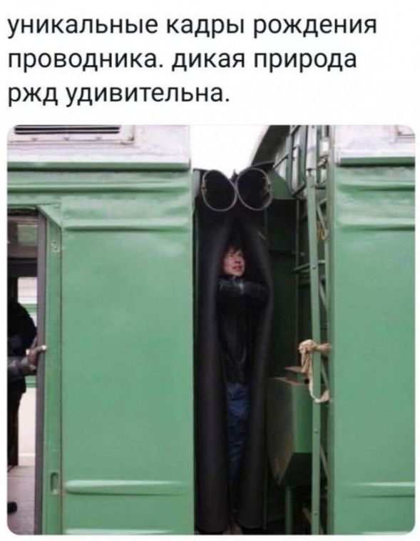 уникальные кадры рождения проводника дикая природа ржд удивительна