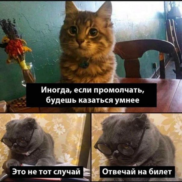 ИНОГДЗ если промолчать будешь казаться умнее