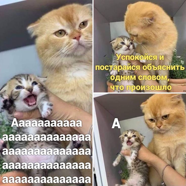 'ёа ааа аааааааааааааа