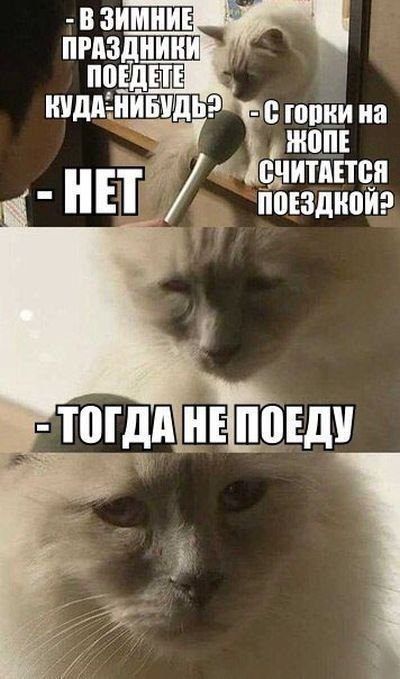 п гонки на нюпі вчиштви іюъзшюИэ