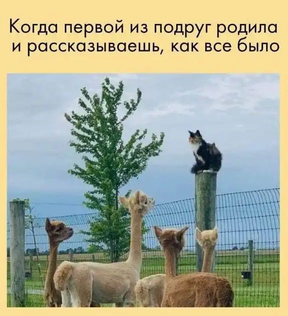 Когда первой из подруг родила и рассказываешь как все было