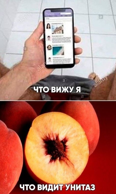 что вижуя