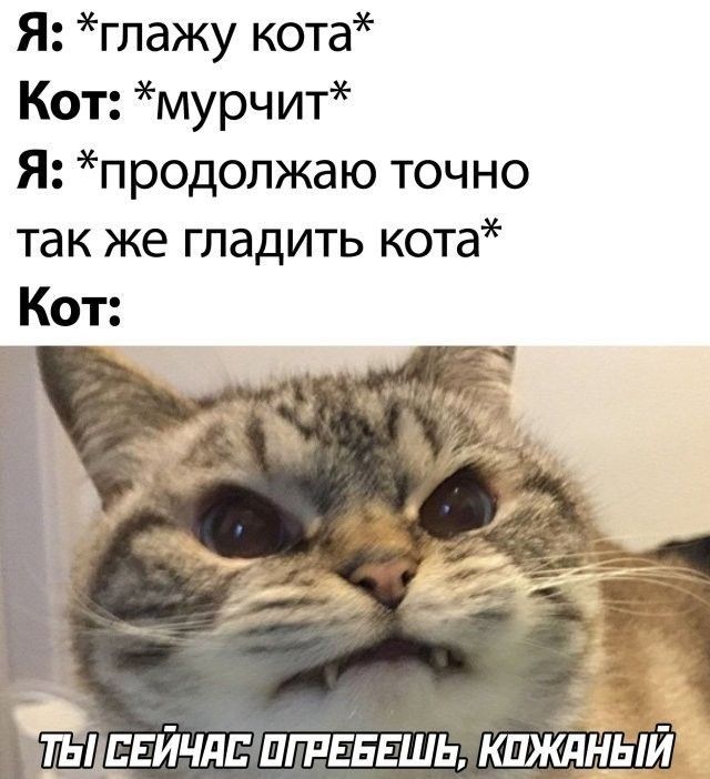Я глажу кота Кот мурч ит Я продолжаю точно так же гладить кота Кот ЕЕЙЧДЕ ПГРЕЕЕШЬ КПЖПНЫИ