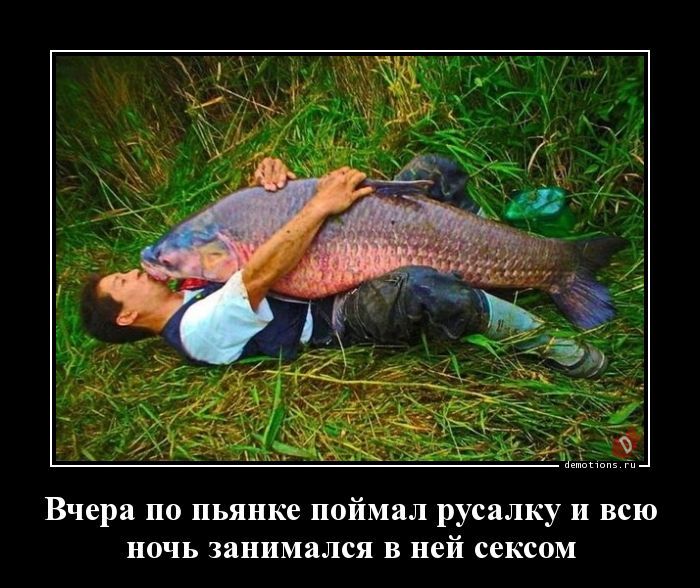 Вчера пп пьянке поймал русалку и всю ночь занимался в ней сексом