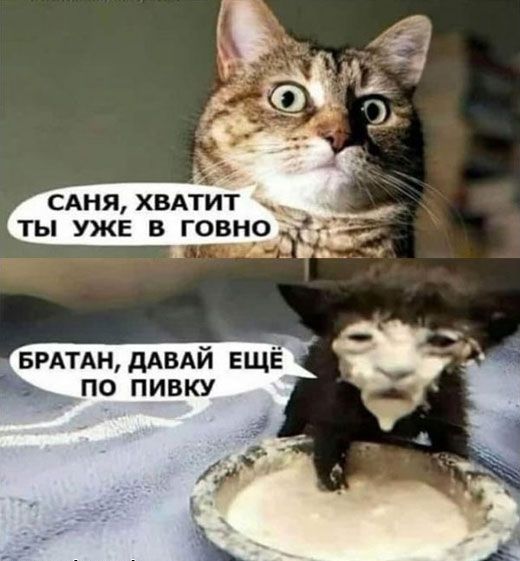 САНЯ ХВАТИТ ТЫ УЖЕ В ГОВН0 БРАТАНдАВАЙ ЕЩЁ по пивку _