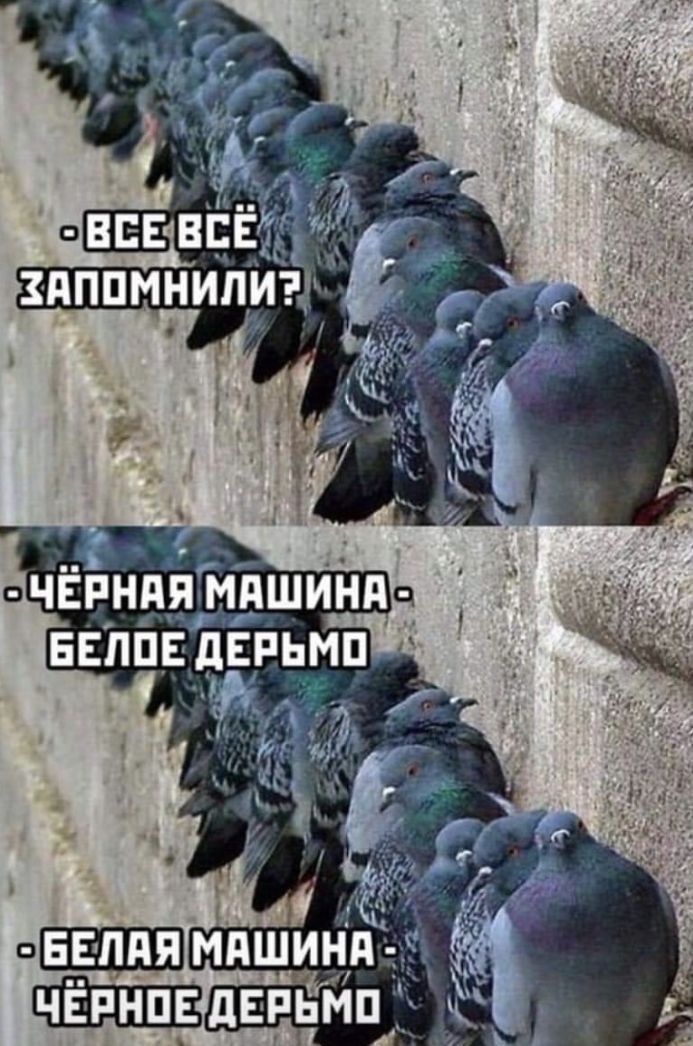 ЗЧЁРНАЯ МАШИНА СЛа
