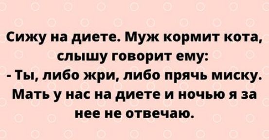 Сижу на диете Муж кормит кота слышу говорит ему Ты либо жри либо прячь миску Мать у нас на диете и ночью я за нее не отвечаю