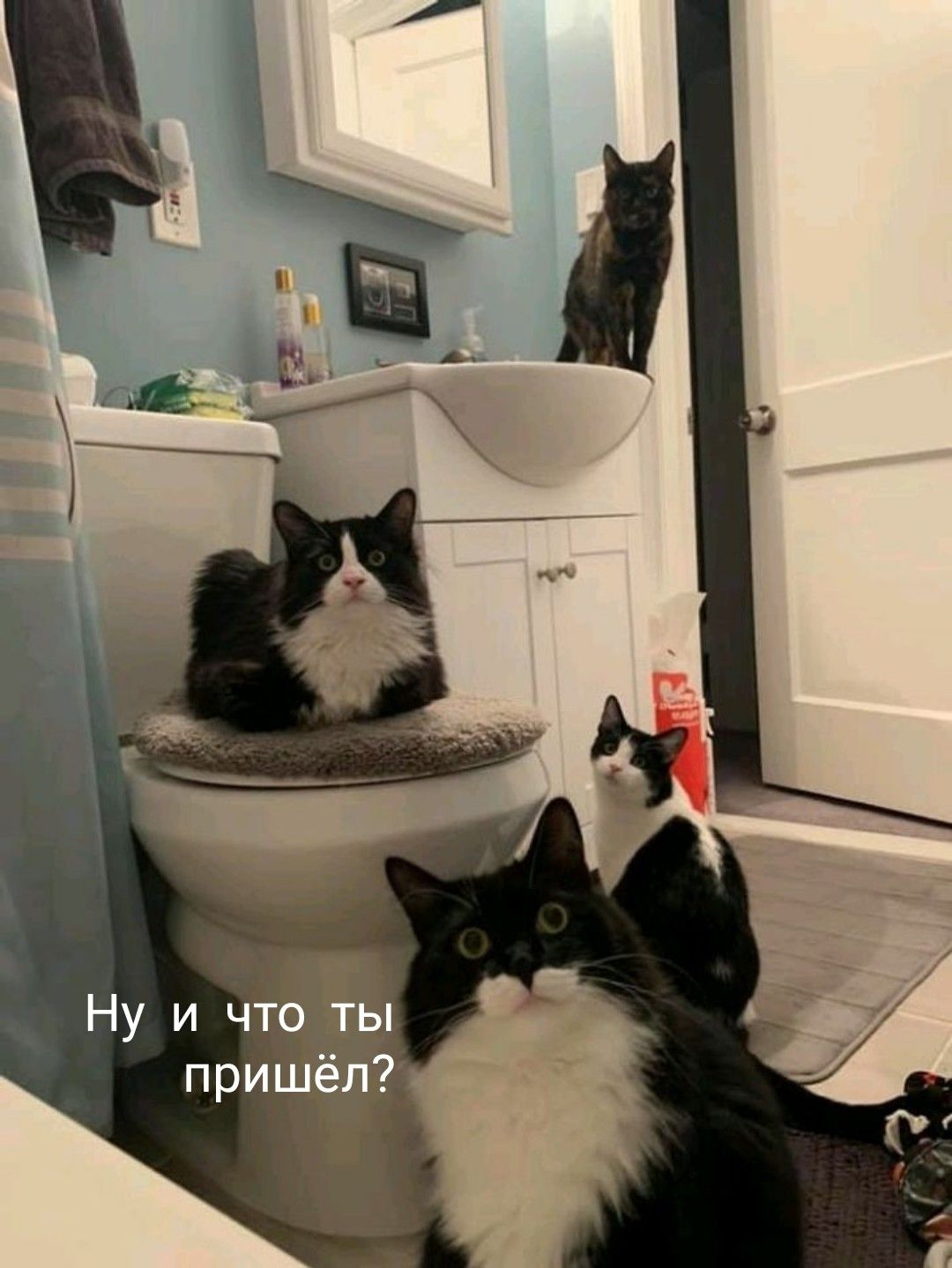 Ну и что ты пришёл