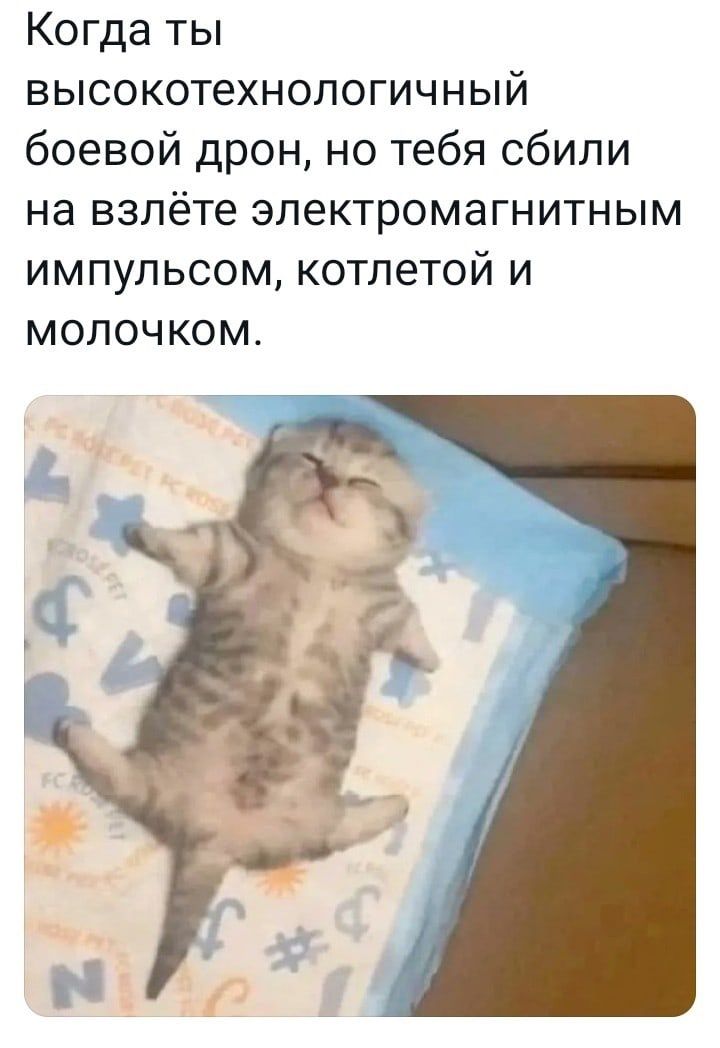 Когда ты высокотехнологичный боевой дрон но тебя сбили на взлёте электромагнитным импульсом котлетой и молочком