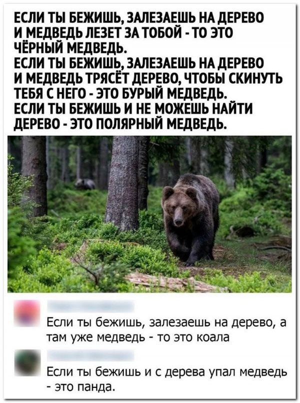 ЕШИ ТЬ БЕЖИШЬ3АЛЕЗАЕШЬ НАДЕРЕВО И МЕДВЕДЬ ЛЕЗЕТ ЗА ТОБОИ ТО ЭТО ЧЕРНЫЙ МЕДВЕДЬ ЕСЛИ ТЬ БЕЖИШЬ3МЕЗАЕШЬ НАДЕРЕВО И МЕДВЕДЬ ТРЯСЕТ ДЕРЕВО ЧТОБЫ СКИНУТЬ ТЕБЯ С НЕГО ЭТО БУРЫЙ МЕДВЕДЬ ЕСЛИ ТЫ БЕЖИШЬ И НЕ МОЖЕШЬ НАЙТИ дЕРЕВО ЭТО ПОЛЯРННИ МЕДВЕДЬ Еши ты бежишь залезаешь на дерево в ТЕМ УЖЕ МЕДВЕДЬ ТО это когда Если ты бежишь и с дерева упал медведь это панда