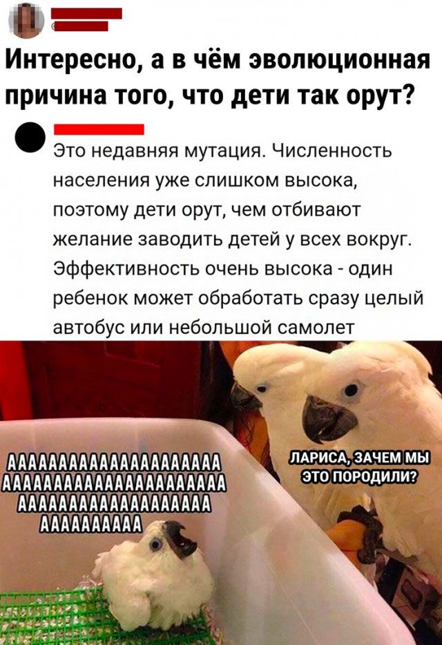 Ш Щ Интересно а в чём эволюционная причина того что дети так орут Это недавняя мутация Численность населения уже слишком высока поэтому дети орут чем отбивают желание заводить детей у всех вокруг Эффективность очень высока один ребенок может обработать сразу целый автобус или небольшой самолет