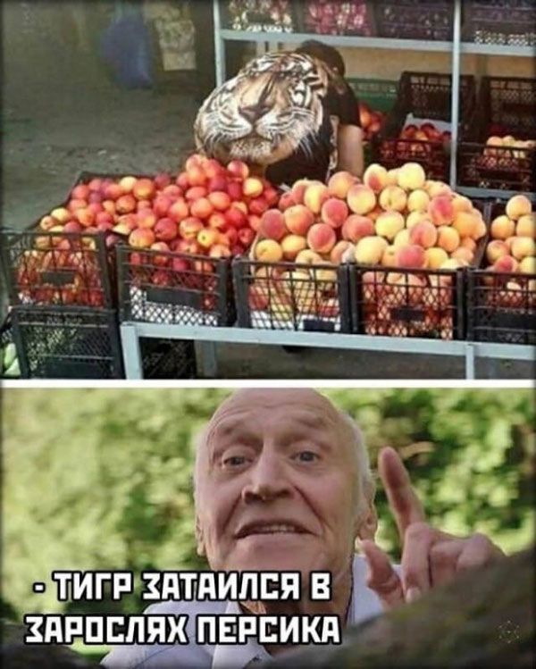 й У ТИГРХАТАЙЛСЯ В ЗПРПБППХПЕРБИКП