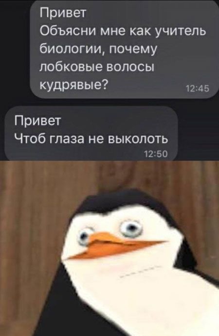 Привет Объясни мне как учитель биологии почему побковые волосы кудрявые 1245 Привет ЧТОб глаза не ВЫКОЛОТЬ 32 10