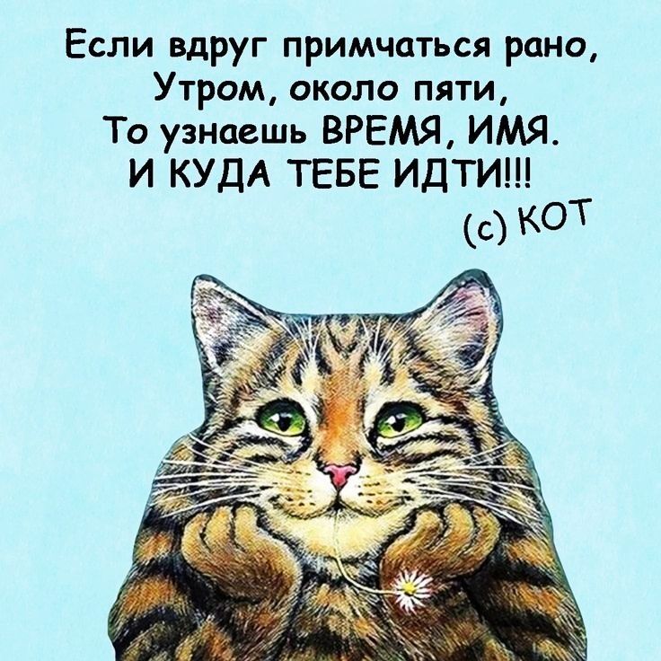 Если вдруг примчцться рано Утром около пяти То узнаешь ВРЕМЯ ИМЯ И КУДА ТЕБЕ ИДТИ