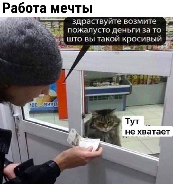 Рабрта мечты Здраствуйте возмите ПОЖЗЛУСТО деньги за ТО што вы такой красивый _ не хватает